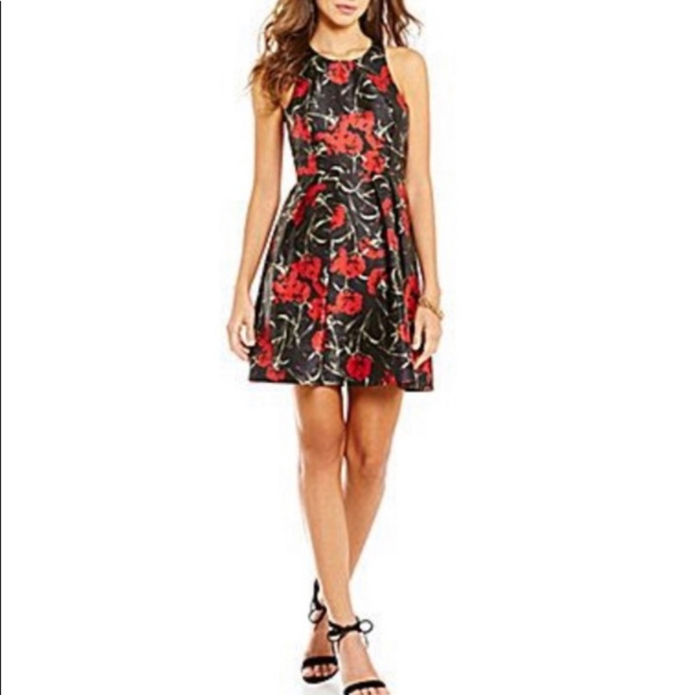 Gianni Bini Clara Black and Red Floral Sleeveless Fit and Flare Dress